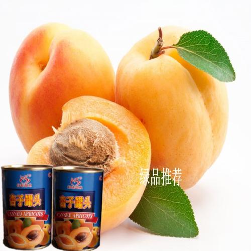 正宗出口品质 对开杏子水果罐头 欢迎批发团购高清图片